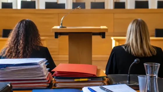 Au procès de Jean-Vincent Placé, le récit d’un climat sexiste au Sénat